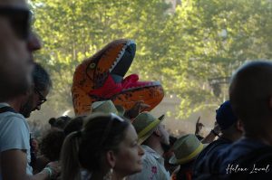 Photoreportage événementiel - Festival de musique