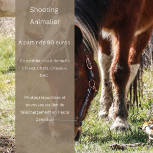 Plaquette descriptive pour les shootings animaliers, avec grille tarifaire